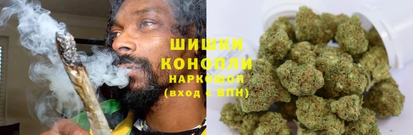 гидропоника Горнозаводск