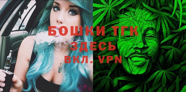 гидропоника Горнозаводск