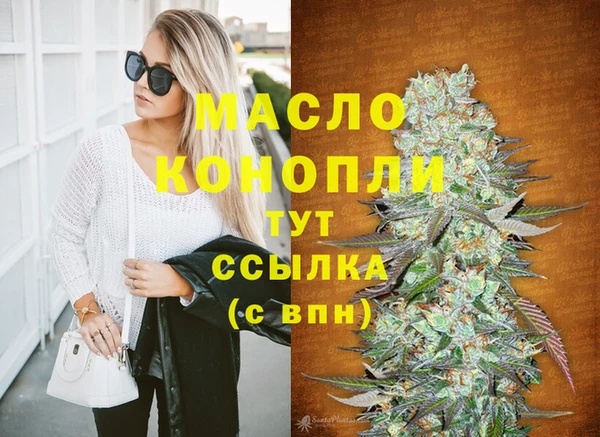 винт Горняк