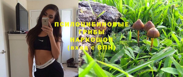 спайс Горно-Алтайск