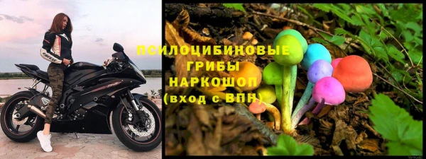 винт Горняк