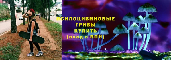 гидропоника Горнозаводск