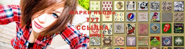 гидропоника Горнозаводск