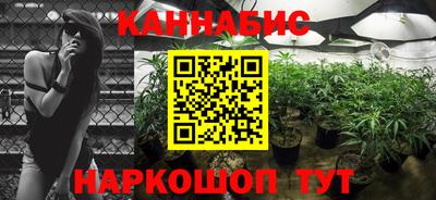 mdpv Можга