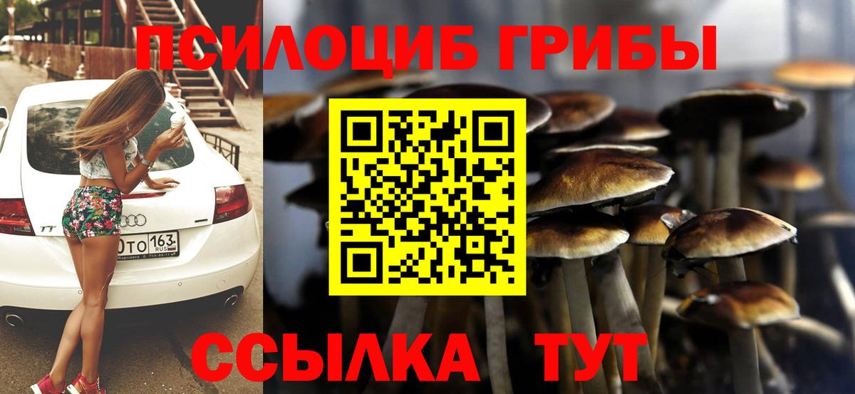 Гусь-Хрустальный  Галлюциногенные грибы Cubensis  закладка  Вход с VPN 
